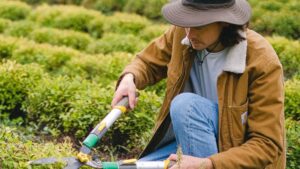 New Work – Agil arbeiten – neue Ideen für einen sich verändernden Arbeitsmarkt